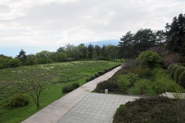 bir park içinde massandra 's