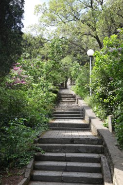 Stairs in the park of Kharaks clipart