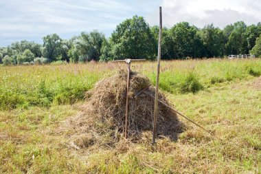 Haymaking