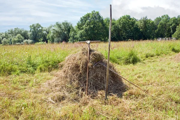 stock image Haymaking