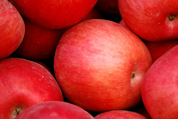 Красные яблоки
