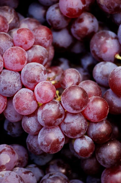 stock image Bunch of red grapes