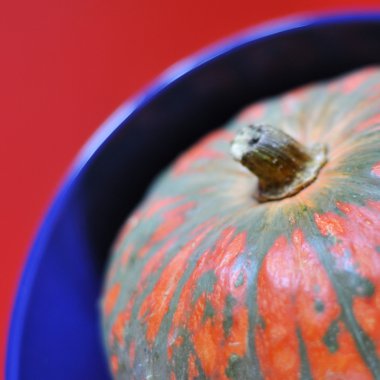 Renkli balkabakları