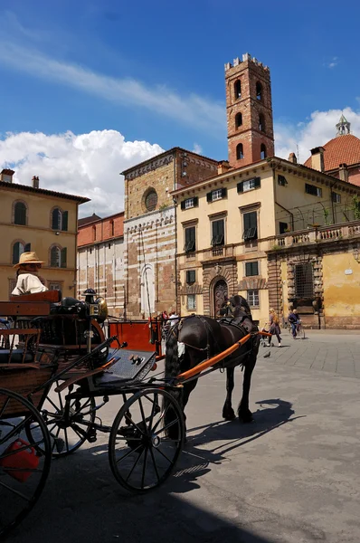 Architecture of Lucca, Tuscany, Italy — Stock Photo, Image