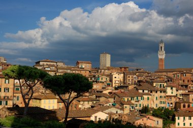 Siena, Tuscany, Italy clipart