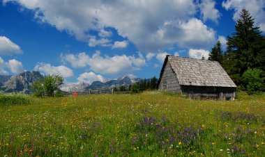 Mountain landscape clipart