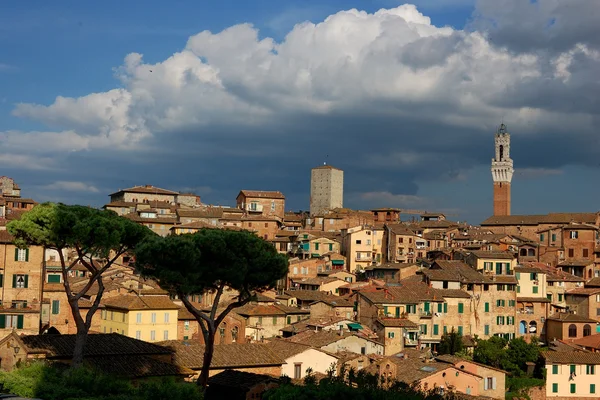 Sienne, Toscane, Italie — Photo