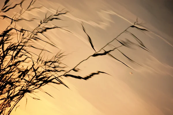 Západ slunce na jezeře — Stock fotografie
