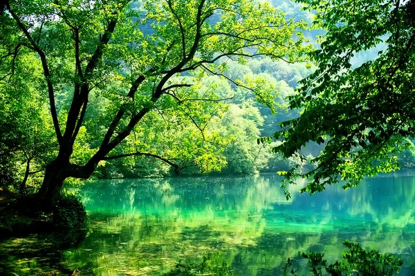 stock image Blue lake.