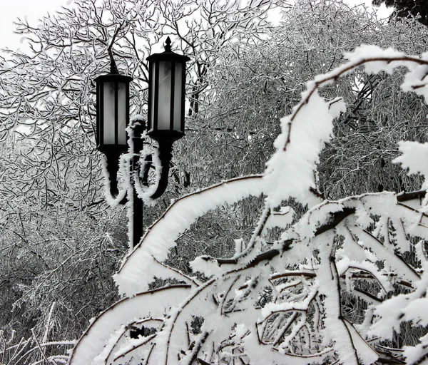 Lanterna in inverno . — Foto Stock