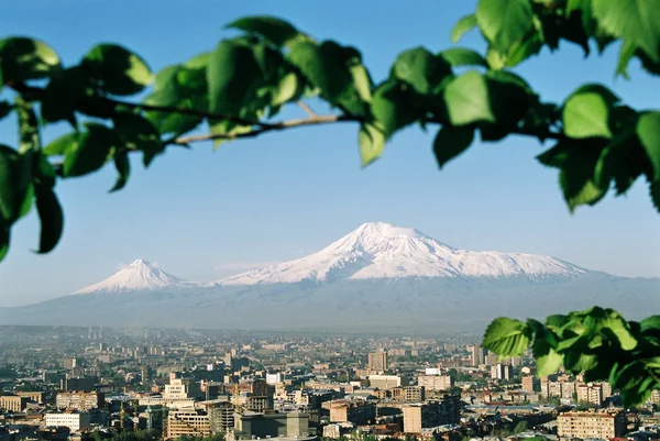 Mountain Ararat. — Stock Photo, Image