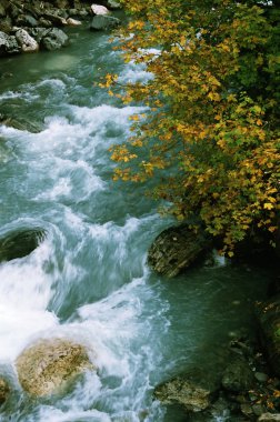 River in Dombai. clipart