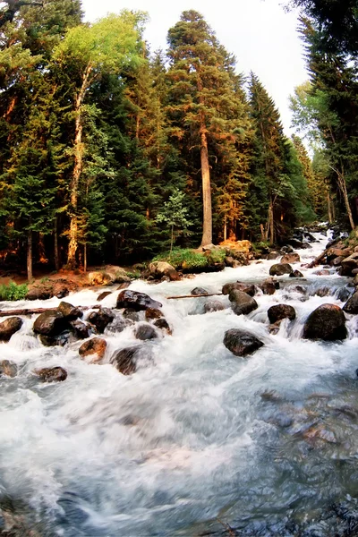 Řeka ullu-murudgu. — Stock fotografie