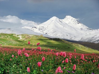 Mountains of the Caucasus clipart