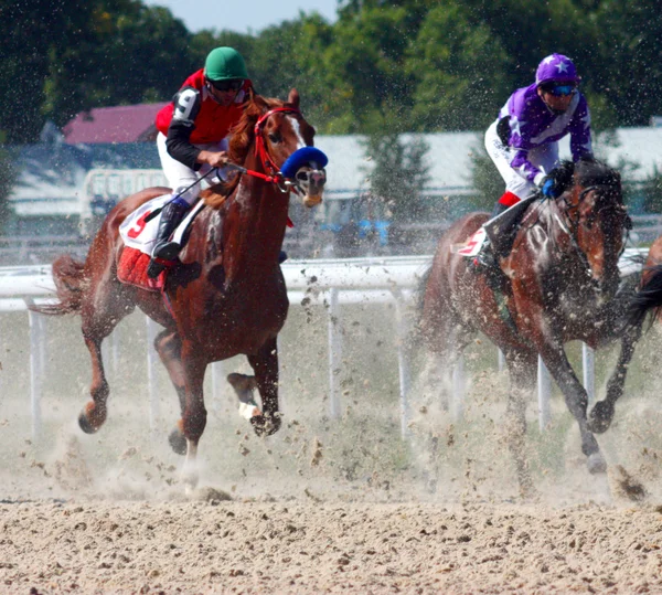 Horse race. — Stock Photo, Image