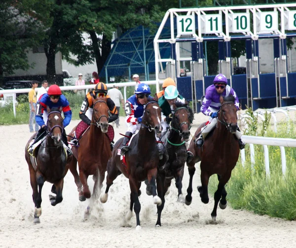 At Yarışı — Stok fotoğraf