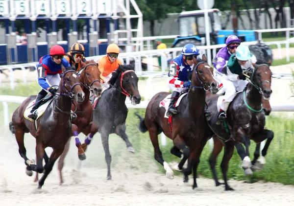 Horse race. Royalty Free Stock Images