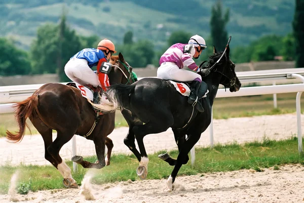 Corrida de cavalos. — Fotografia de Stock