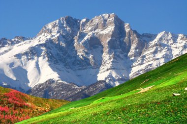 Mountains of the Armenia clipart