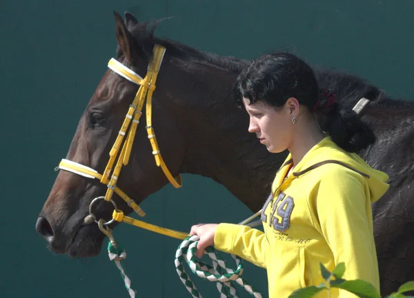 Chica y su caballo . — Foto de Stock