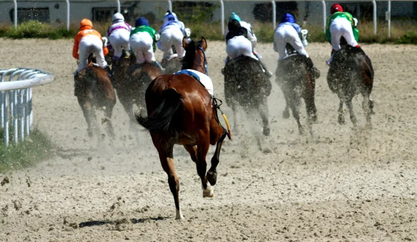 Horse lost the jockey. — Stock Photo, Image