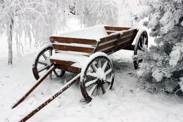 雪の中でカートします。. — ストック写真