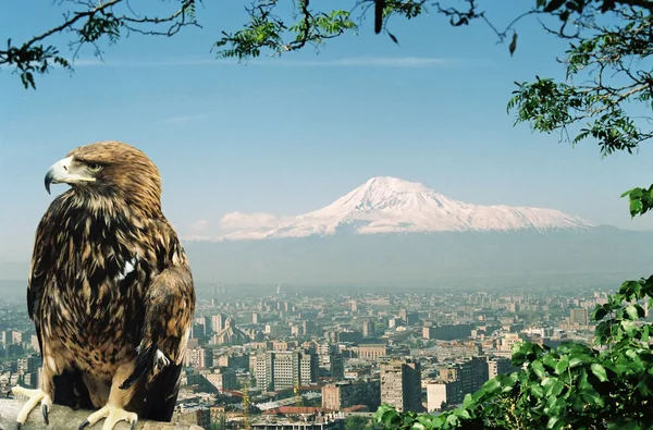 Mountain Ararat — Stock Photo, Image
