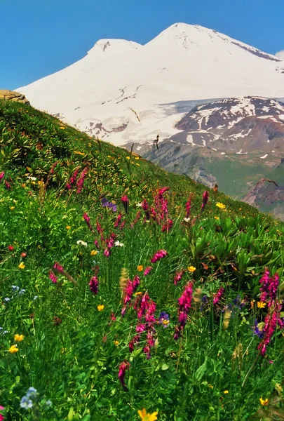 Montagna Elbrus . — Foto Stock