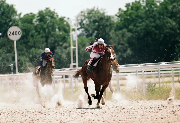 Carrera de caballos. —  Fotos de Stock
