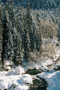 dombai.Winter gün.