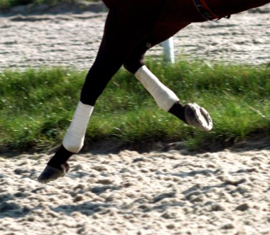 Selective focus on the horseshoes. clipart