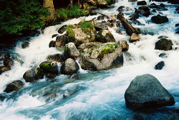 Fluss in dombai. — Stockfoto