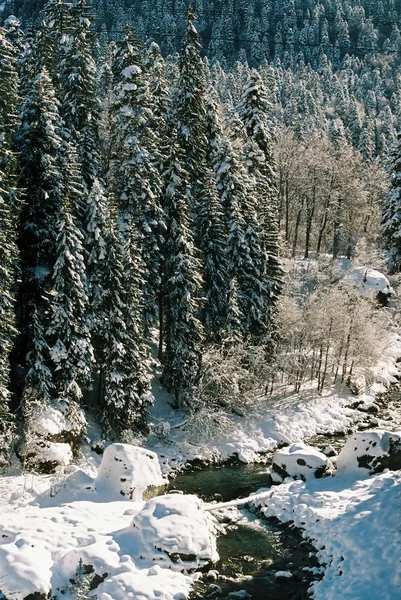Dombai.Journée d'hiver . — Photo
