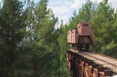 Auschwitz'e Holokost treni