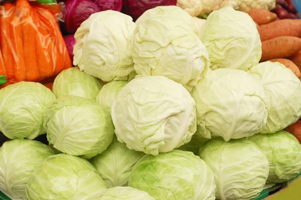 Close up of cabbage — Stock Photo, Image