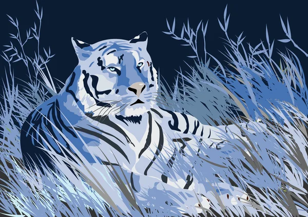 Срібні тигр — стоковий вектор