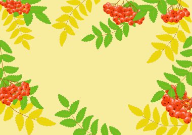 Background with rowan berry clipart