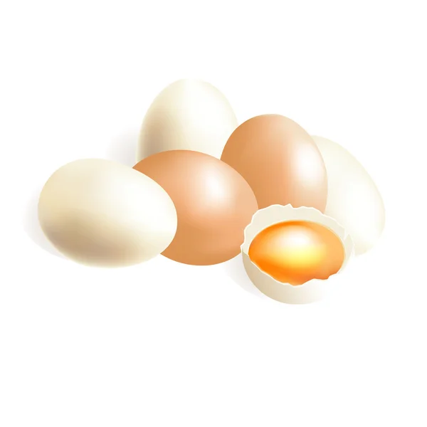 Яйца — стоковый вектор