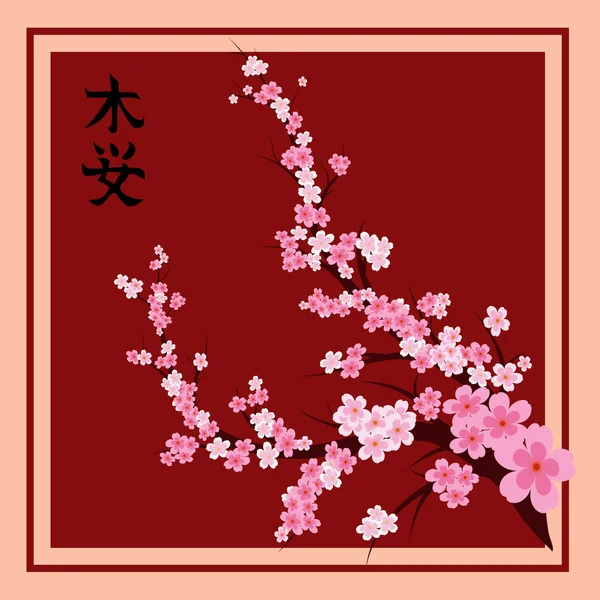 Oriental cherry — Stock Vector