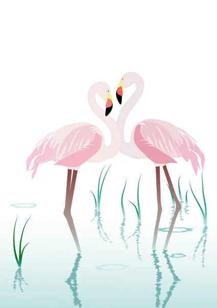 stock vector Flamingo