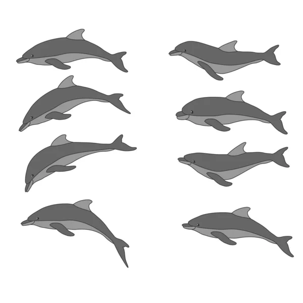 stock vector Dolphins