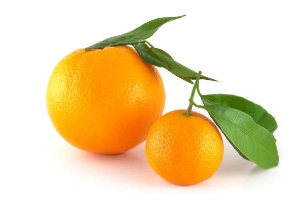 Two perfectly fresh oranges — Stock Photo, Image