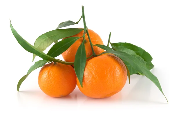 Tangerines with leaves Stock Photo