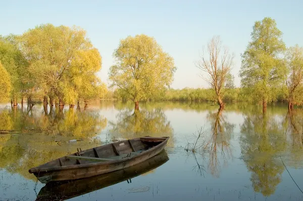 stock image Old wooden boat