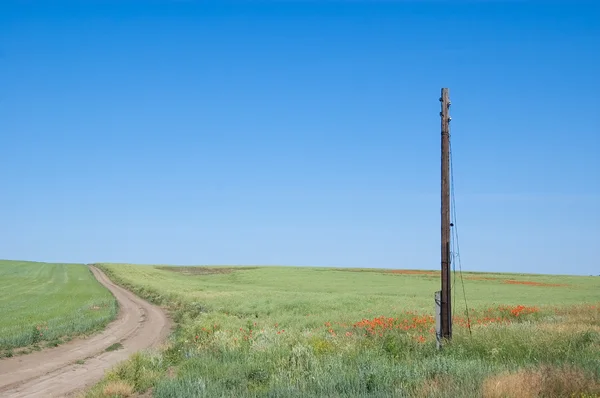 Meadow and a pole — Stock Photo, Image