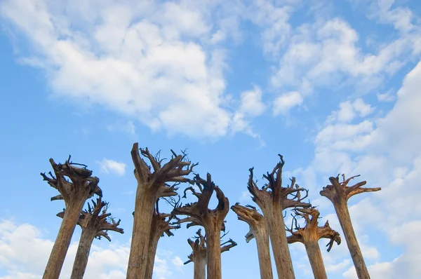 stock image Abstract installation - roots of trees