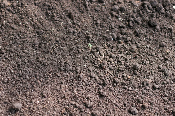 stock image Soil