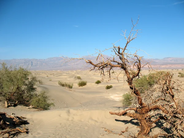 Αμμοθίνες στην Καλιφόρνια κοιλάδα του θανάτου — Φωτογραφία Αρχείου