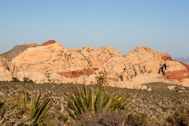 Red Rock Canyon Nevada