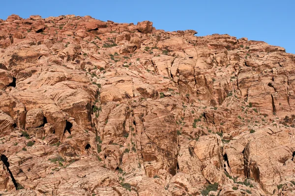 Червоний рок-Каньйон Невада — стокове фото